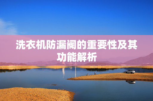 洗衣机防漏阀的重要性及其功能解析