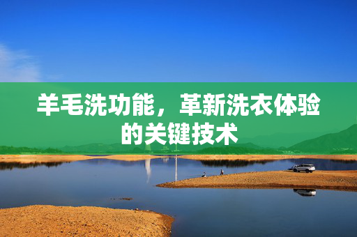 羊毛洗功能，革新洗衣体验的关键技术