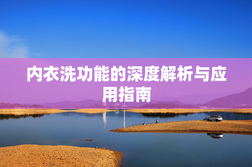 内衣洗功能的深度解析与应用指南