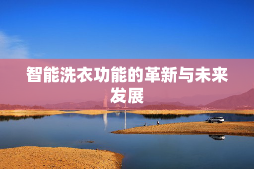智能洗衣功能的革新与未来发展