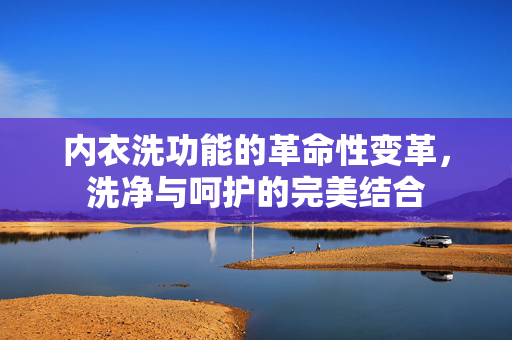 内衣洗功能的革命性变革，洗净与呵护的完美结合