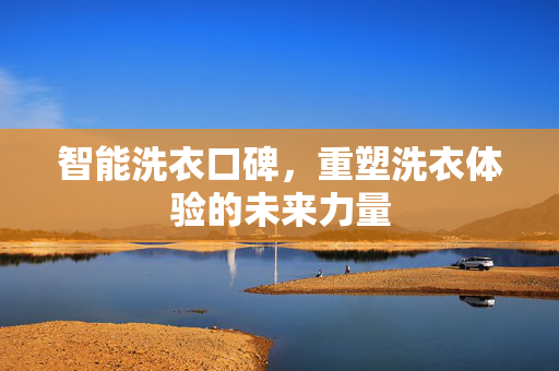 智能洗衣口碑，重塑洗衣体验的未来力量