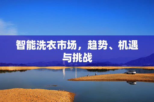 智能洗衣市场，趋势、机遇与挑战