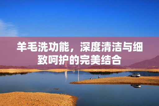 羊毛洗功能，深度清洁与细致呵护的完美结合