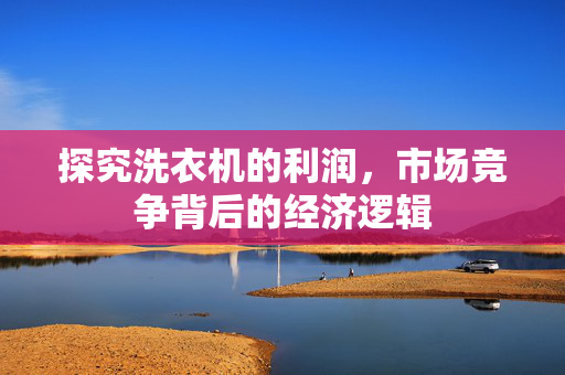 探究洗衣机的利润，市场竞争背后的经济逻辑