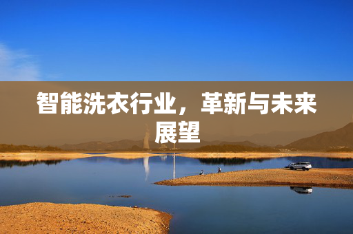 智能洗衣行业，革新与未来展望