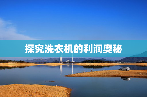 探究洗衣机的利润奥秘