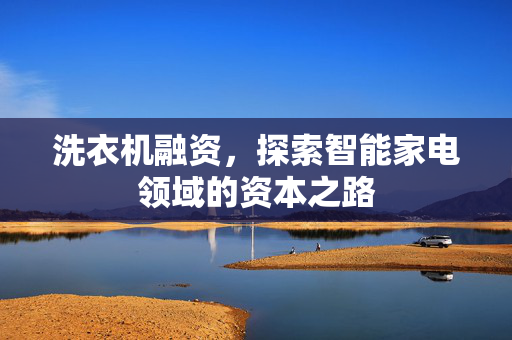 洗衣机融资，探索智能家电领域的资本之路