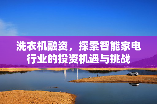 洗衣机融资，探索智能家电行业的投资机遇与挑战
