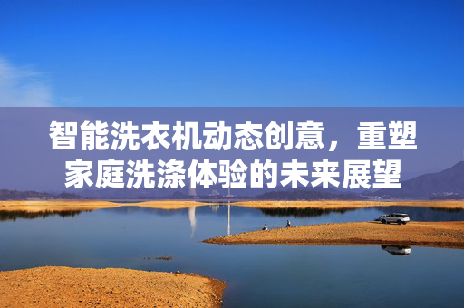 智能洗衣机动态创意，重塑家庭洗涤体验的未来展望