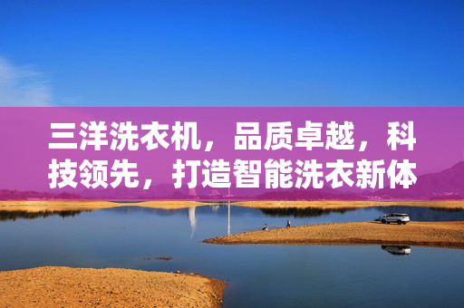 三洋洗衣机，品质卓越，科技领先，打造智能洗衣新体验
