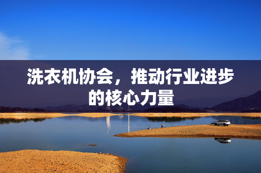 洗衣机协会，推动行业进步的核心力量