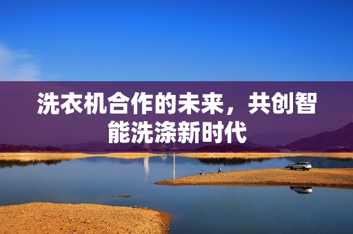 洗衣机合作的未来，共创智能洗涤新时代