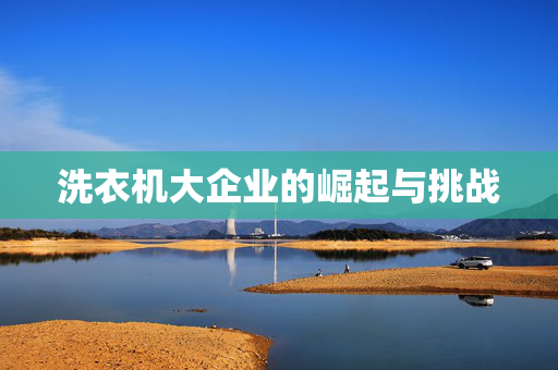洗衣机大企业的崛起与挑战