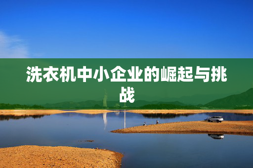 洗衣机中小企业的崛起与挑战