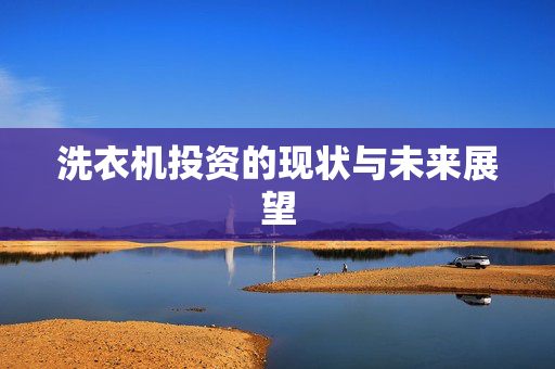 洗衣机投资的现状与未来展望