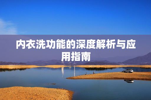 内衣洗功能的深度解析与应用指南