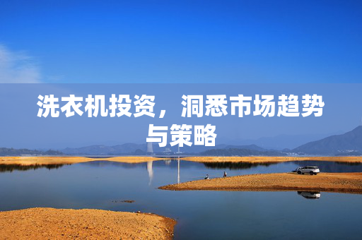 洗衣机投资，洞悉市场趋势与策略
