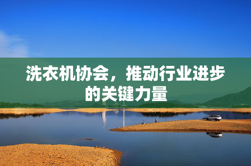 洗衣机协会，推动行业进步的关键力量