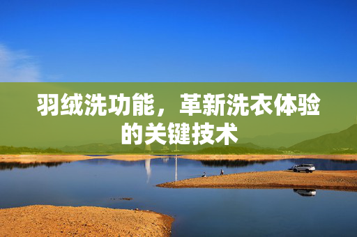 羽绒洗功能，革新洗衣体验的关键技术
