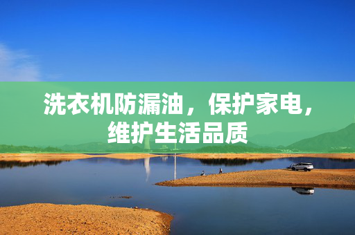 洗衣机防漏油，保护家电，维护生活品质