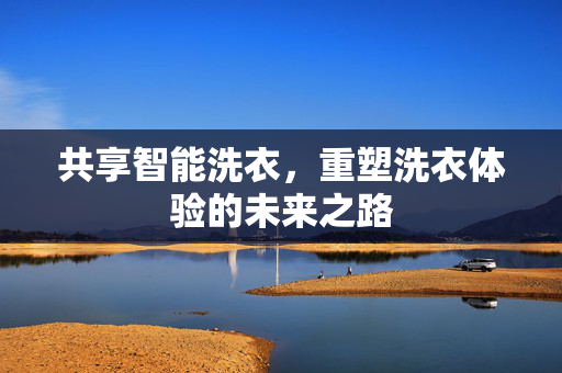 共享智能洗衣，重塑洗衣体验的未来之路