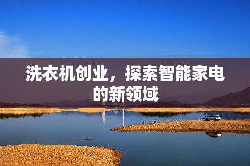 洗衣机创业，探索智能家电的新领域