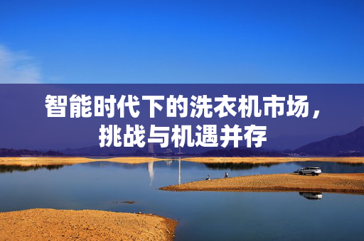 智能时代下的洗衣机市场，挑战与机遇并存