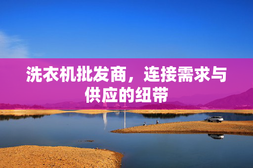 洗衣机批发商，连接需求与供应的纽带