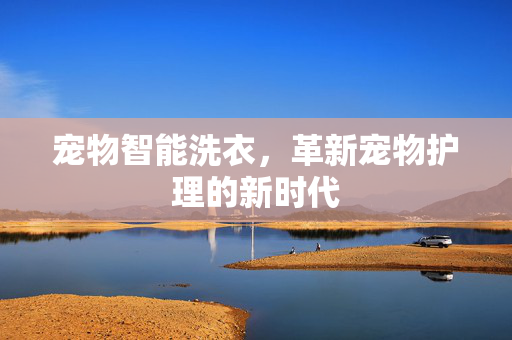 宠物智能洗衣，革新宠物护理的新时代
