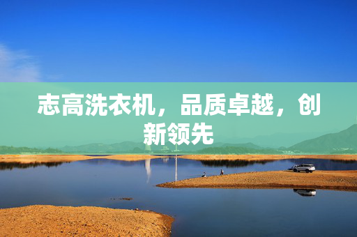 志高洗衣机，品质卓越，创新领先
