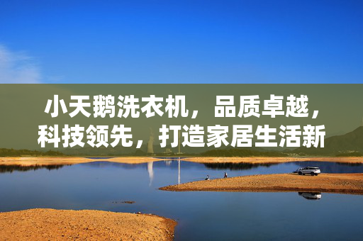 小天鹅洗衣机，品质卓越，科技领先，打造家居生活新体验