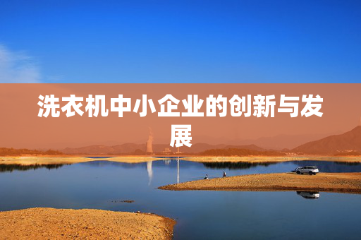 洗衣机中小企业的创新与发展